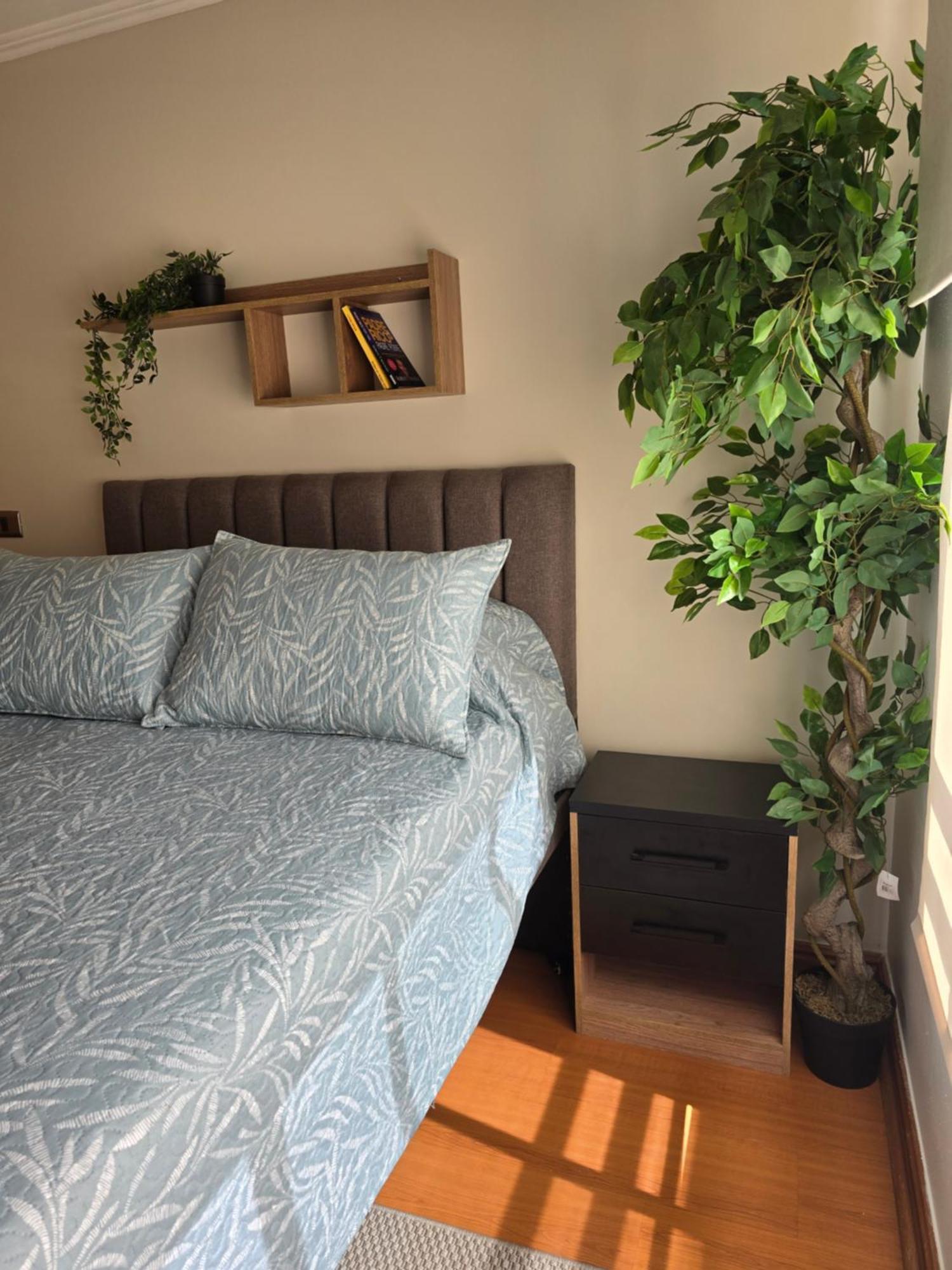 Providencia Matrimonial Bano Privado A Pasos Barrio Bellavista Wifi Parcking Gratis Casa de hóspedes Santiago